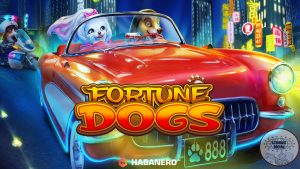 Alasan Popularitas Fortune Dogs