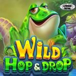 Katak Ajaib Membawa Hoki! Review Jujur Slot Wild Hop & Drop!